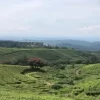 Kerala Honeymoon Tour Package