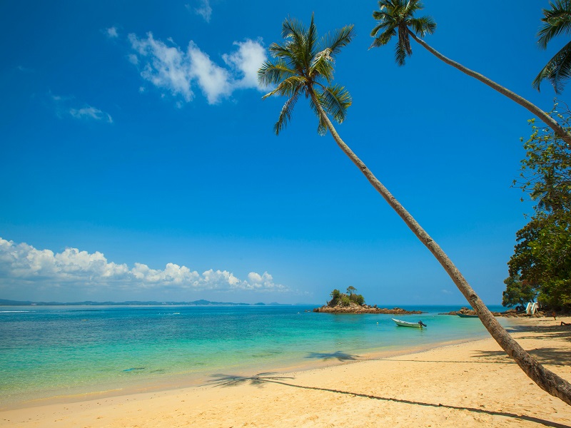 Goa Package