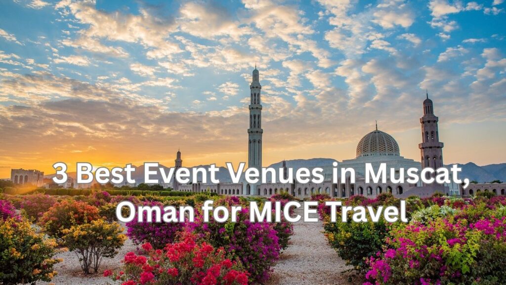 Oman Mice Travel